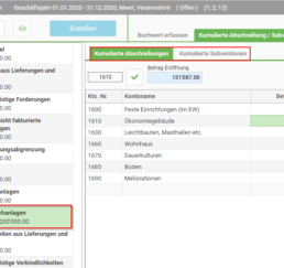 Erfassung kumulierte Abschreibungen, Subventionen in der Eingangsbilanz