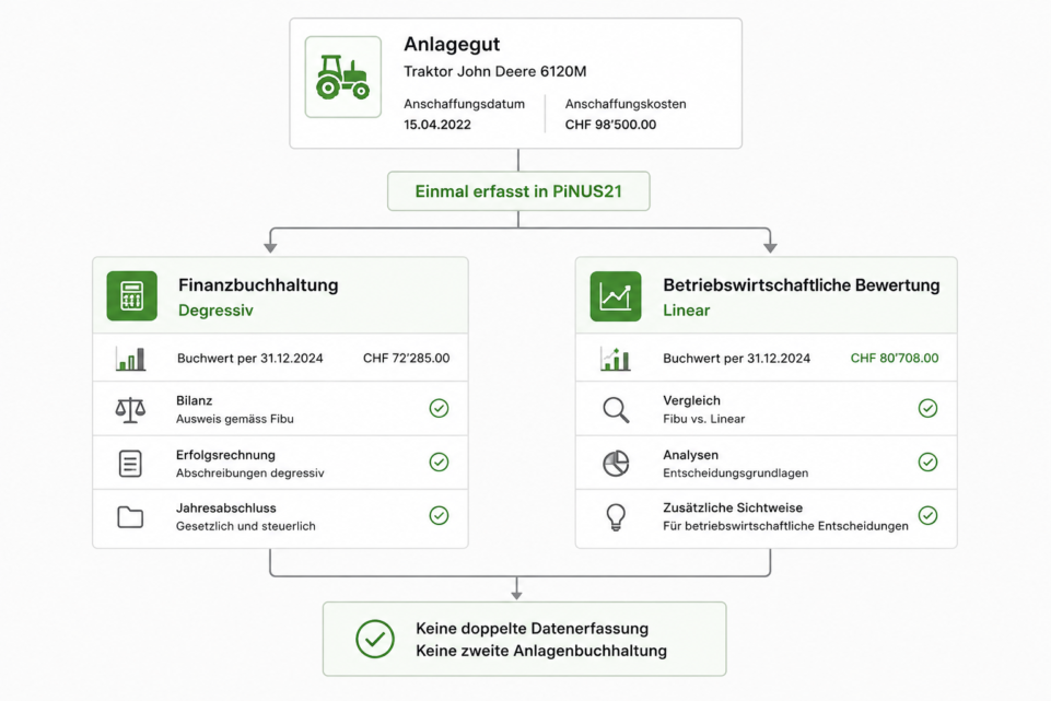 Anlagegut Finanzbuchhaltung-betriebswirtschaftliche Bewertung_Pinus21