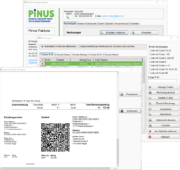 Einsicht Faktura mit QR-Zahlteil